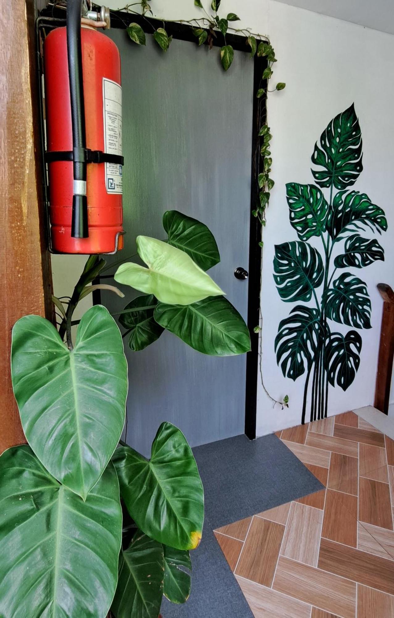 Bougainvillea Guesthouse San Juan  Eksteriør billede